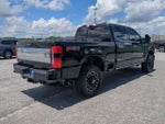 2023 Ford F-250 Platinum