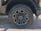 2023 Ford F-250 Platinum