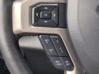 2021 Ford F-450 Platinum