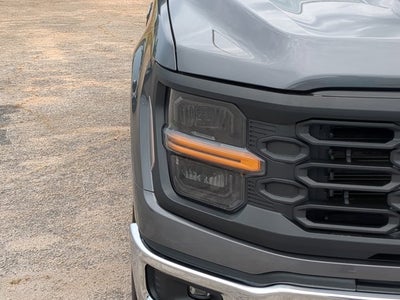 2024 Ford F-150 XL